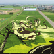 Illustration for article titled Behold These Incredible Artworks Grown from a Rice Field in Japan